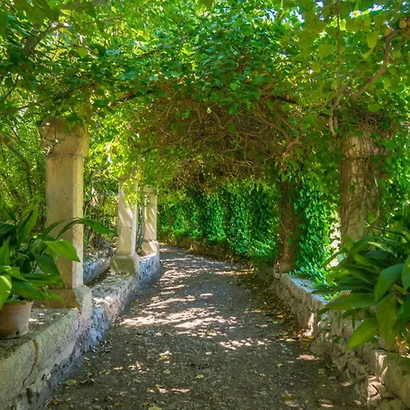 Son Vivot - Nº 5 Duplex Apto - Adults Only *